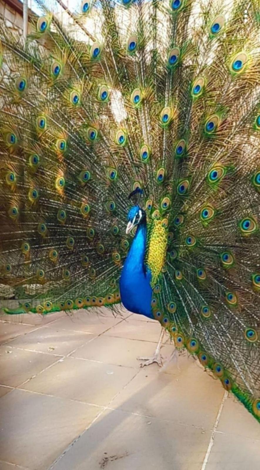 Guest Rooms Wild Duck Ezerets المظهر الخارجي الصورة